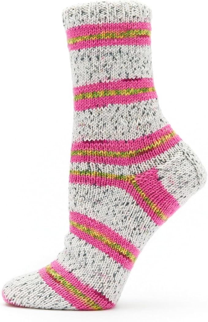 Premier Yarns Fruits, Acrylic Sock Yarn, 2-Pack Bundled with Bella's Crafts Stitch Markers (Dragon Fruit)