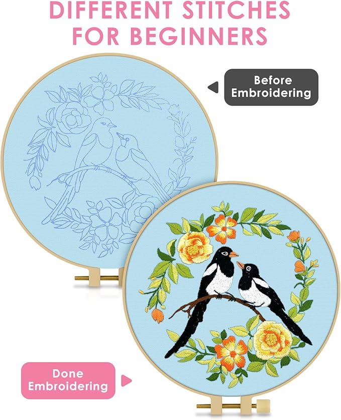 TINDTOP Embroidery Kit for Beginners Adult, Bird Embroidery Kit for Beginners Include Embroidery Cloth Hoops Threads for Craft Lover Hand Stitch with Embroidery Skill Techniques