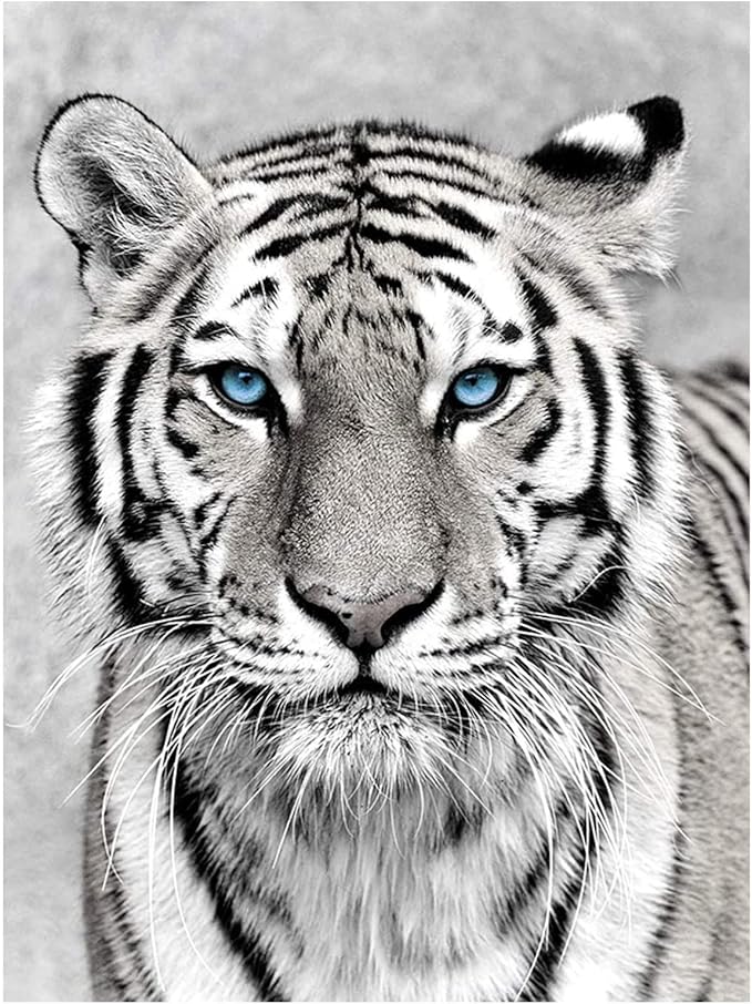 NAIMOER Tiger Diamond Art Kits for Adults,5D Diamond Art Tiger Kits DIY Full Drill Animals Diamond Art Kits for Home Wall Decoration Gifts (30X40cm)
