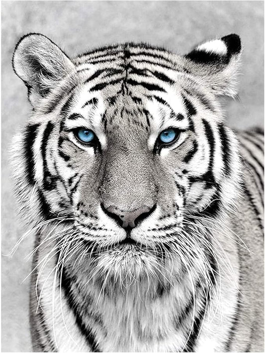 NAIMOER Tiger Diamond Art Kits for Adults,5D Diamond Art Tiger Kits DIY Full Drill Animals Diamond Art Kits for Home Wall Decoration Gifts (30X40cm)