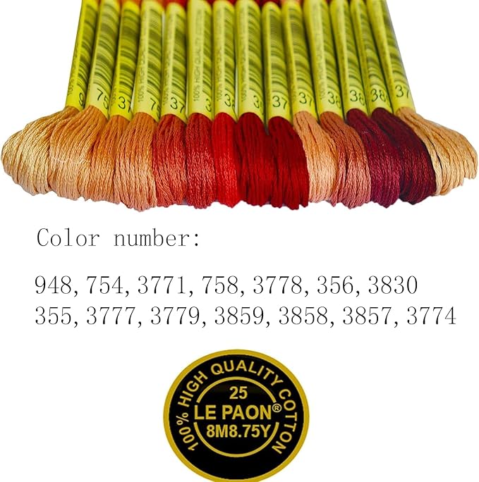 Premium Rainbow Color Embroidery Floss - Cross Stitch Threads - Friendship Bracelets Floss - Crafts Floss - 14 Skeins Per Pack Embroidery Floss,Light Peach Flesh Gradient