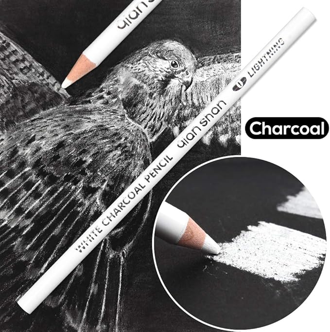 qianshan 2 Pcs Black White Color Charcoal Pencils, Professional Hight Quality Sketch Highlight Charcoal Wooden Pencils for Artist Drawing, Sketching, Blending, 2 Colors of 1 Black, 1White