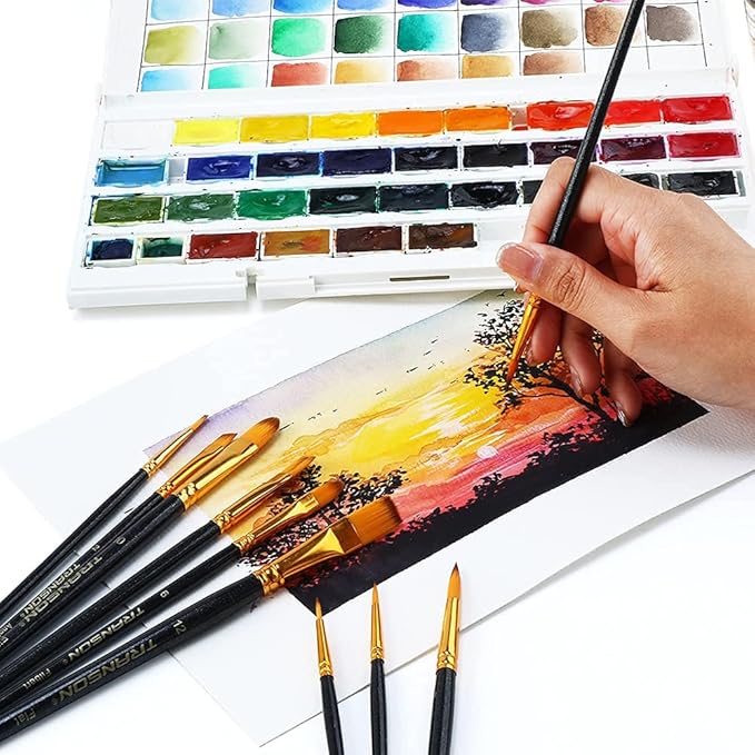 Transon 20pcs Art Painting Brush Set for Acrylic Watercolor Gouache Hobby Craft Face Painting Black