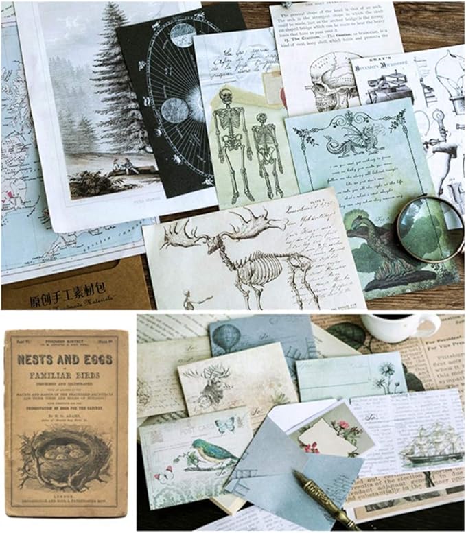 Aesthetic Stickers for Journaling and Scrapbooking, Retro Anatomy Ephemera Paper, DIY Collage Kit Embellishments, Vision Board Supplies for Adults, Vintage Scrapbook Pack