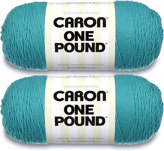 Caron One Pound Aqua Yarn - 2 Pack of 454g/16oz - Acrylic - 4 Medium (Worsted) - 812 Yards - Knitting/Crochet