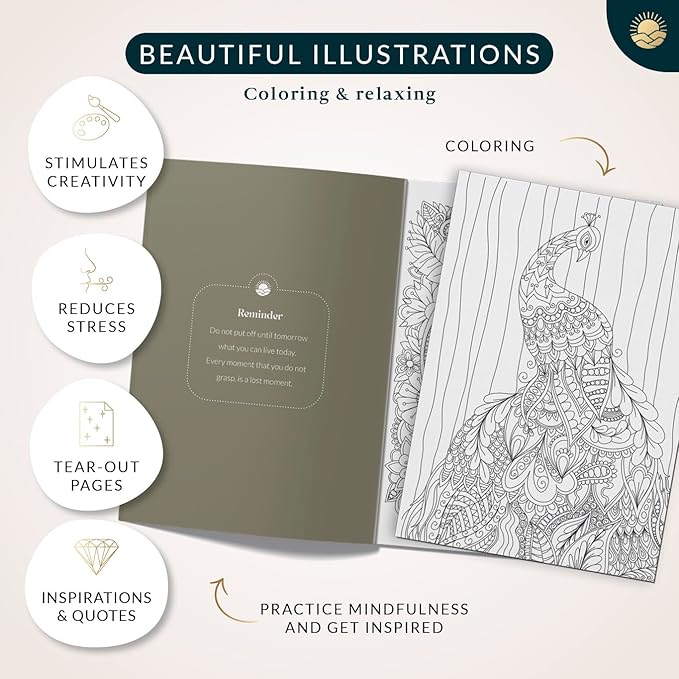 Coloring Books for Adults Relaxation by Mindmellow – Stress Relief Coloring Book for Adults & Teens - Calming Designs to Inspire Creativity and Mindfulness - Coloring Books for Teens