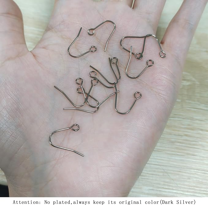 12pcs 20g small pure titanium earring fish hooks diy earrings findings for jewelry making, hypoallergenic earring hooks making kit for women men sensitive ears
