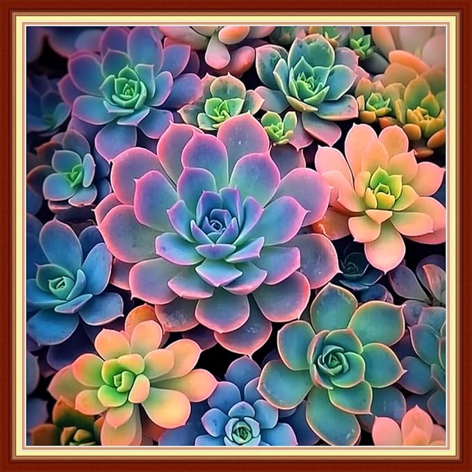 Redxing Stamped Cross Stitch Kits Embroidery kit for Beginners Adults Full Range of Embroidery Patterns Starter Kits DIY Printed Cross Stitch Kits Needlepoint Kits 11CT-Succulent Plants 18x18 inch