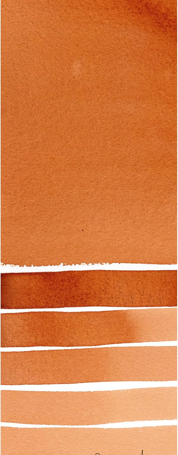 Daniel Smith Extra Fine Watercolor Paint, 5ml Tube, Quinacridone Burnt Orange, 284610086, 0.17 Fl Oz (Pack of 1)