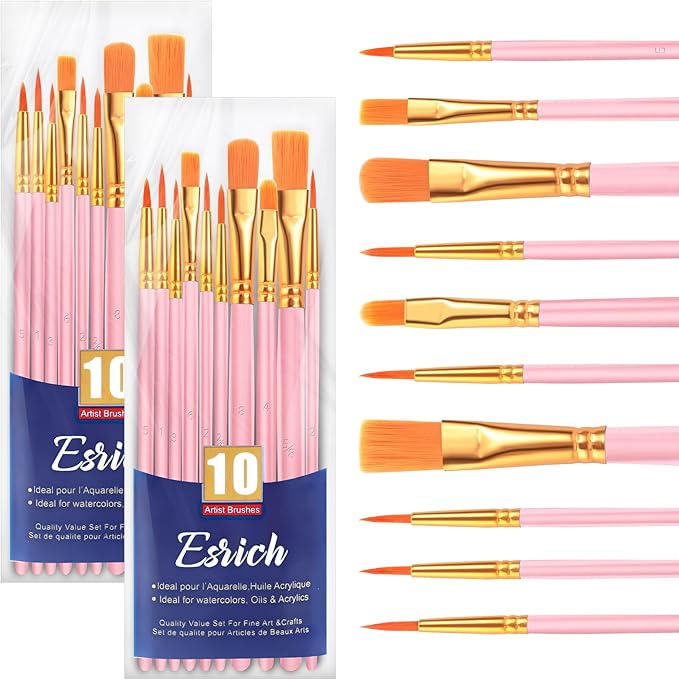 ESRICH Paint Brushes Set, 2 Packs 20 Pcs Acrylic Paint Brush Set, Watercolor Oil Acrylic Nylon Hair Brushes, Artist Paintbrushes for Acrylic Oil Watercolor Painting Artist Professional Kits,Pink