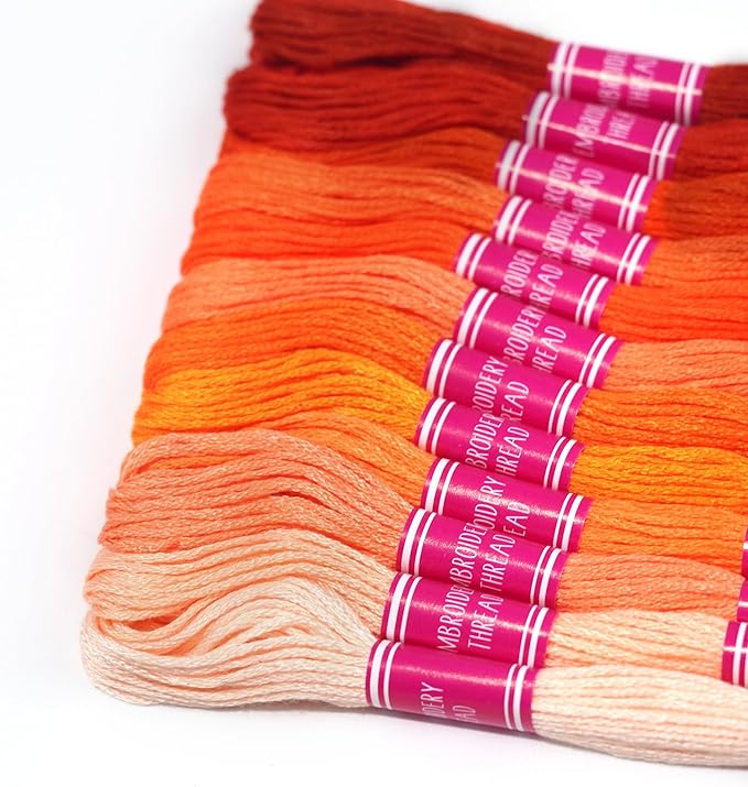 Friendship Bracelet String 12 Skeins, Embroidery Floss Cross Stitch Embroidery Thread Floss Bracelet Making Yarn, Craft Floss (Red Series)