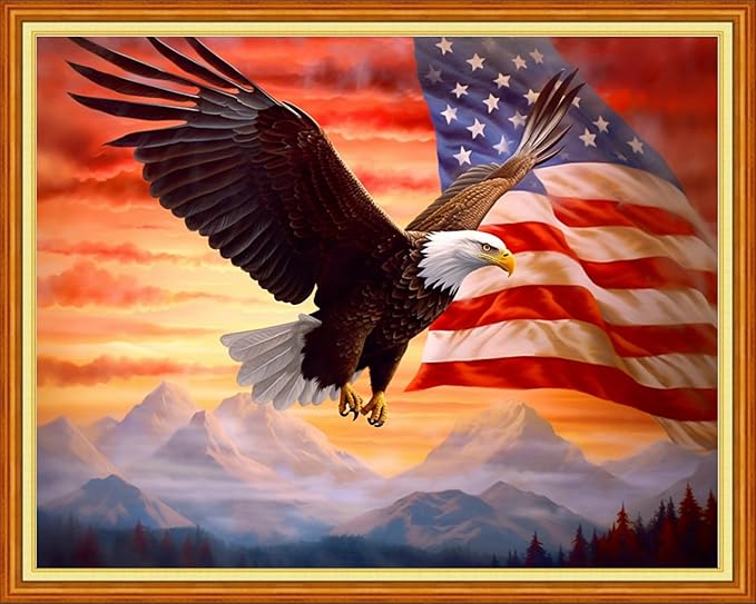 foxhool stamped cross stitch kits,11ct printed cross stitch pattern full embroidery kits for beginner needlepoint kits-eagle flag 16x20 inch