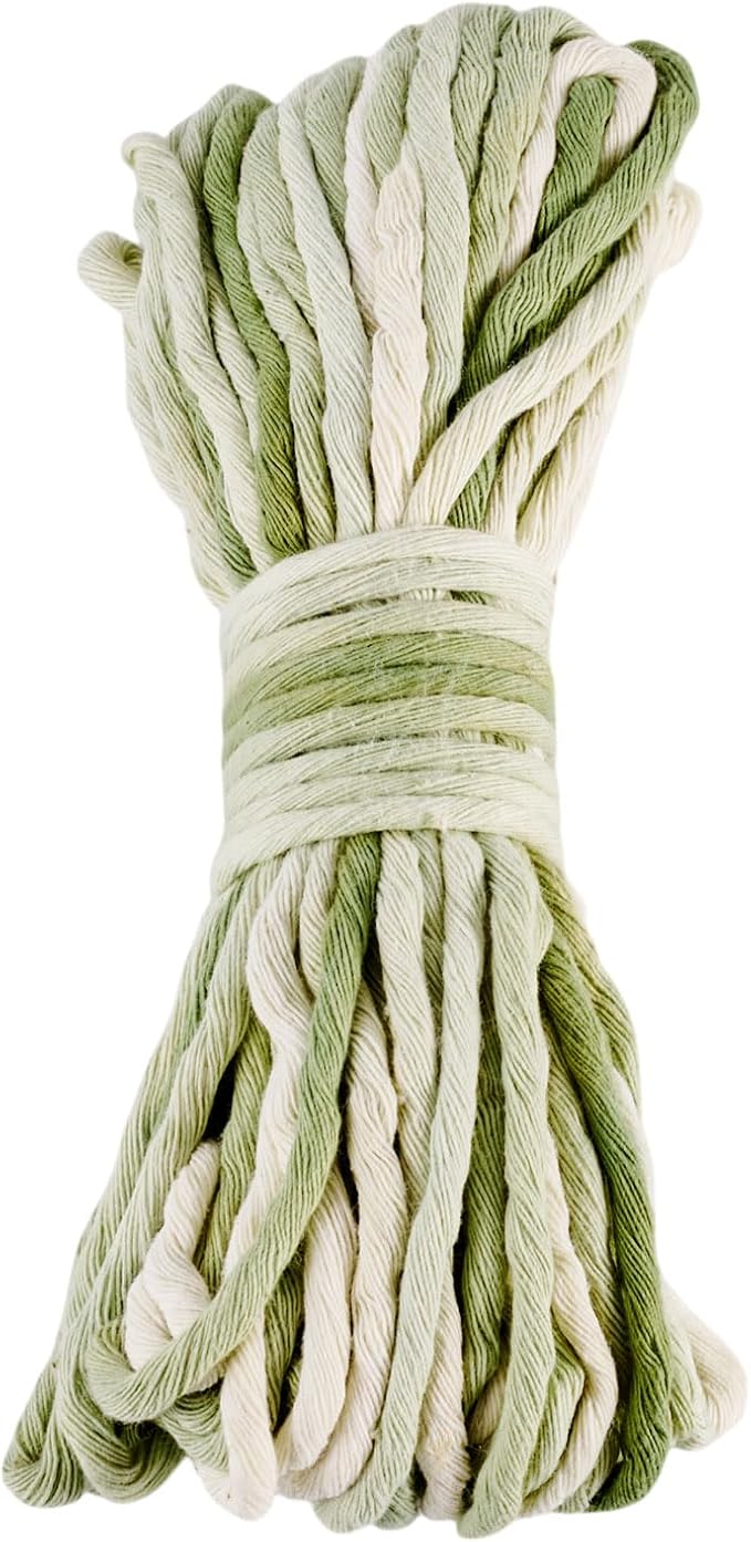 21.87 Yards Green Single Strand Macrame Cord 3.5mm Gradient Colored Cotton Cord Colorful Twine Bohemia Soft Cotton Rope Yarn for DIY Crafts Knitting Crochet Wall Plant Hanger Home Project