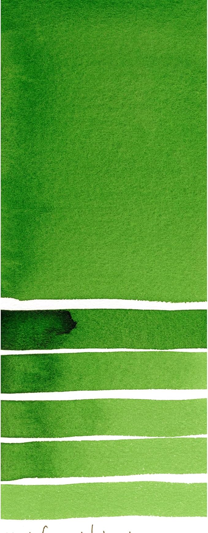 Daniel Smith Extra Fine Watercolor Paint, 5ml Tube, Hooker's Green, 284610042