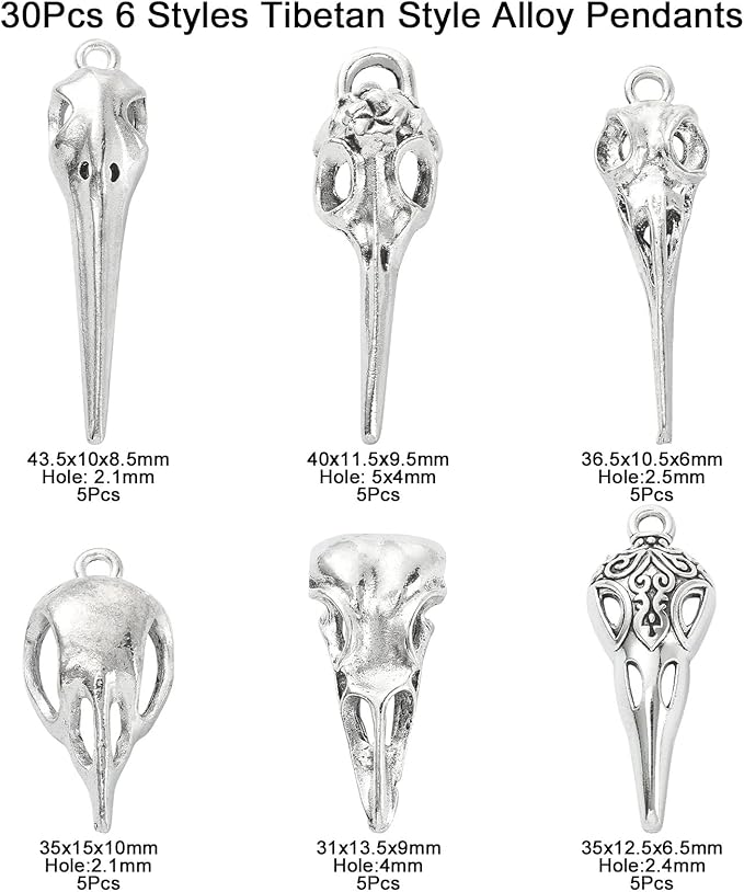 DanLingJewelry 30Pcs 6 Styles Antique Silver Raven Skull Bird Head Skeleton Charms for Halloween Jewelry Making Crafting