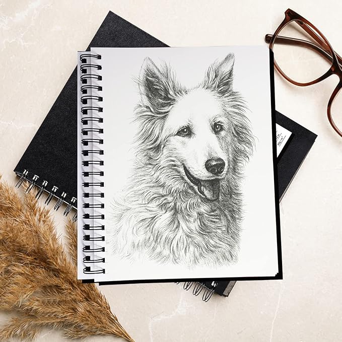Conda 8.5"x11" Hardbound Sketch Book, 80-Sheets 90gsm Double-Sided Hardcover Sketchbook, Spiral Sketch Pad, Durable Acid Free Drawing Art Paper for Adults