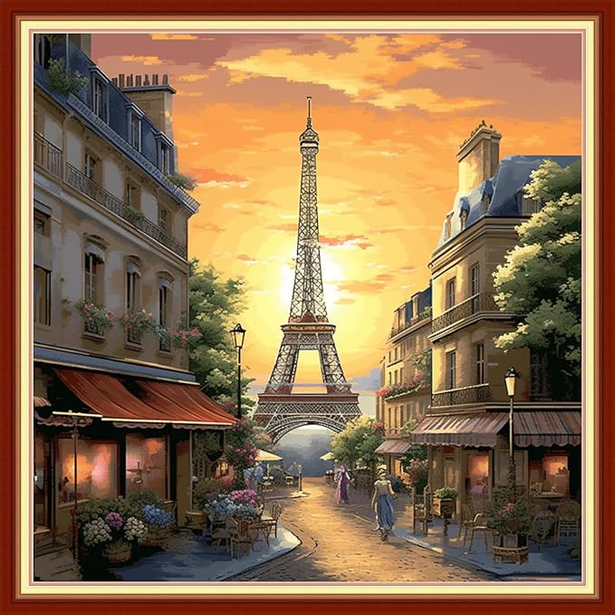 Redxing Stamped Cross Stitch Kits Embroidery kit for Beginners Adults Full Range of Embroidery Patterns Starter Kits DIY Printed Cross Stitch Kits Needlepoint Kits 11CT-Eiffel Tower Street 18x18 inchs