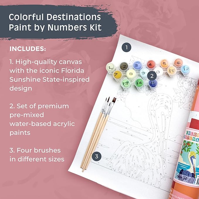 Pink Picasso Kits Colorful Destinations Paint by Number for Adults and Teens | DIY Unique Canvas Painting Kits Color by Numbers Arts & Crafts Kit | Sunshine State 8x10 - Paint Kit Set