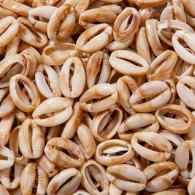 200pcs Acrylic Shell Beads Ocean Sea Theme Shell Bead Summer Hawaii Beaded for Jewelry Making Beading Kit Bracelets DIY Supplies (Beige Shell)