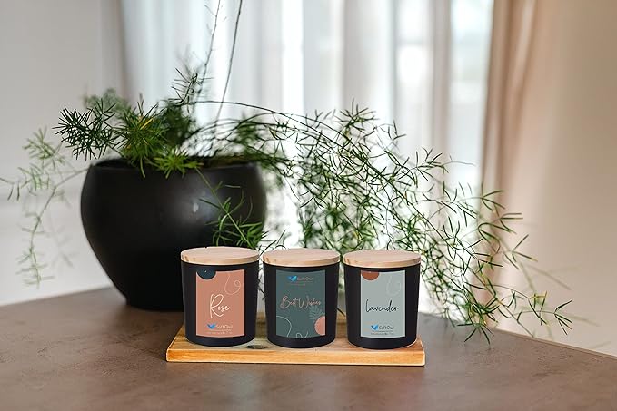 SoftOwl Premium Soy Candle Making Kit - Black Edition - Full Set with Electric Melter - Soy Wax, Big 7oz Jars & Tins, 7 Pleasant Scents, 10 Color Dyes & More - Perfect as Home Decorations