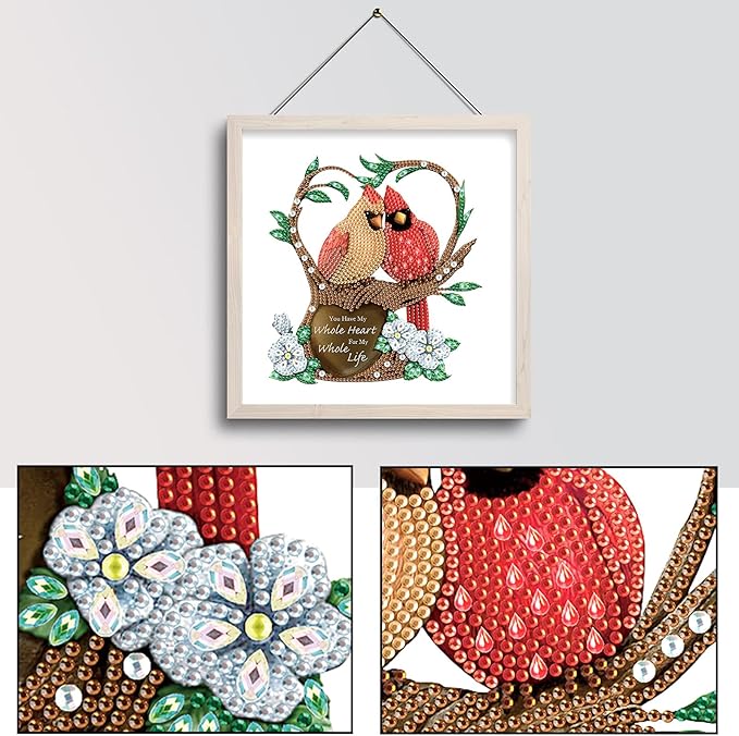 LazyFold Christmas Diamond Painting Kits, DIY Christmas Bird Partial Special Shaped Diamond Pictures Arts Paint by Number Kits Diamond Painting Kits for Home Wall Decor
