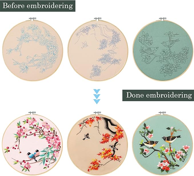 Santune 3 Pack Embroidery Kit for Adults Cross Stitch Kits for Beginners with Bird Patterns,3 Instructions,1 Hoop,Threads and 6 Needles,Hand Needlepoint Sets for Women