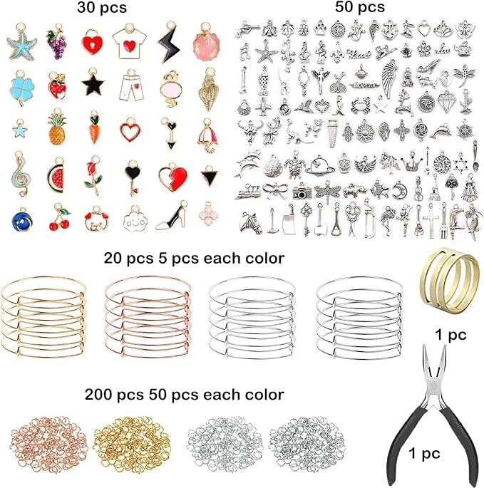Phinicco Bangle Bracelets Making Kit 317 Pcs Charm Bracelet Making Kit with Expandable Bangles, Colorful Charms, Jump Rings and Pliers for for DIY Jewelry Crafting