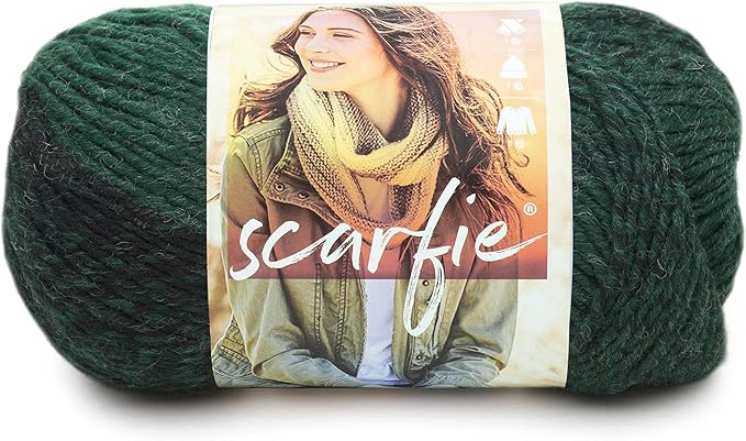 Lion Brand Yarn (1 Skein) Scarfie Bulky Yarn, Forest/Black