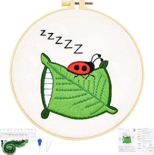Embroidery Kits for Beginners Adults, Cute Hand Embroidery Starter Kit, Cross Stitch Kits for Beginners DIY Craft Kits for Adults Women, Entire Set of Embroidery Supplies【Full-Length Video Tutorial】