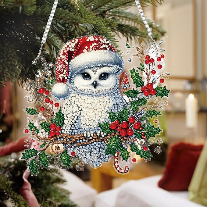 Auremi Christmas Diamond Art Painting Pendant Kits with Chain,5D Owl Diamond Art Hanging Kit DIY Diamond Crystal Window Door Hanging Pendant Kit for Adults Gift Wall Decor