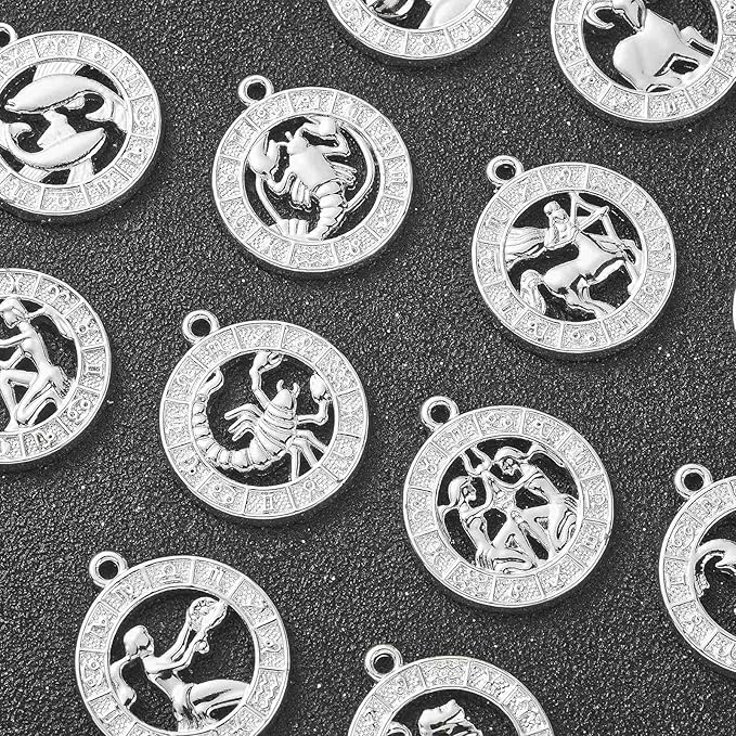 DanLingJewelry 24Pcs Tibetan Zodiac Charms Twelve Constellation Sign Horoscope for Jewelry Making DIY, FIND-CJC0017-13P-CHH