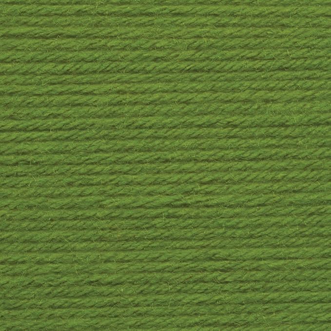 Lion Brand Yarn Lion Brand Vanna's Choice Yarn (172) Kelly Green