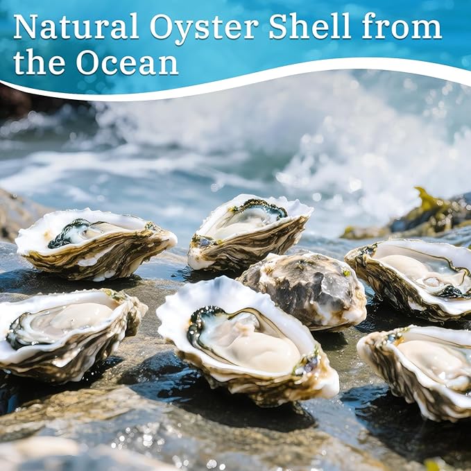 APUDWN 16 Set Oyster Shells for Crafts 4-5 Inch Christmas Pre-Drilled Oyster Shells Crafts Kits with Decoupage Paper Napkin Glue Paint Twine and Brushes for Xmas Decor DIY Arts Seashells Ornaments