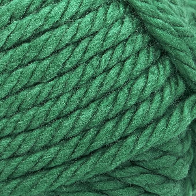 Lion Brand Yarn Hometown Yarn, Super-Bulky Yarn for Knitting, Crocheting, and Crafting, 1 Pack, Green Bay