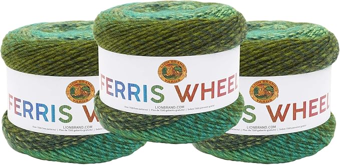 Lion Brand Yarn Ferris Wheel Yarn, Roving Multicolor Yarn for Knitting, Crocheting, and Crafts, 3 Pack, Evergreen