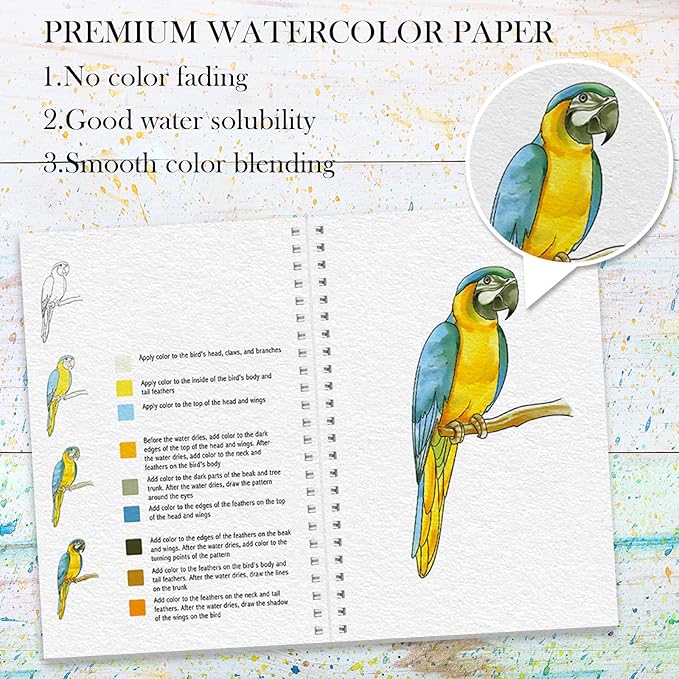 Watercolor Workbook, Watercolor Workbook Paint Book Beginner Friendly, 12 Different Patterns Stress-Relieving Art Crafts for Creative Exploration Gift for Women Adults Teens (Bird, 1)