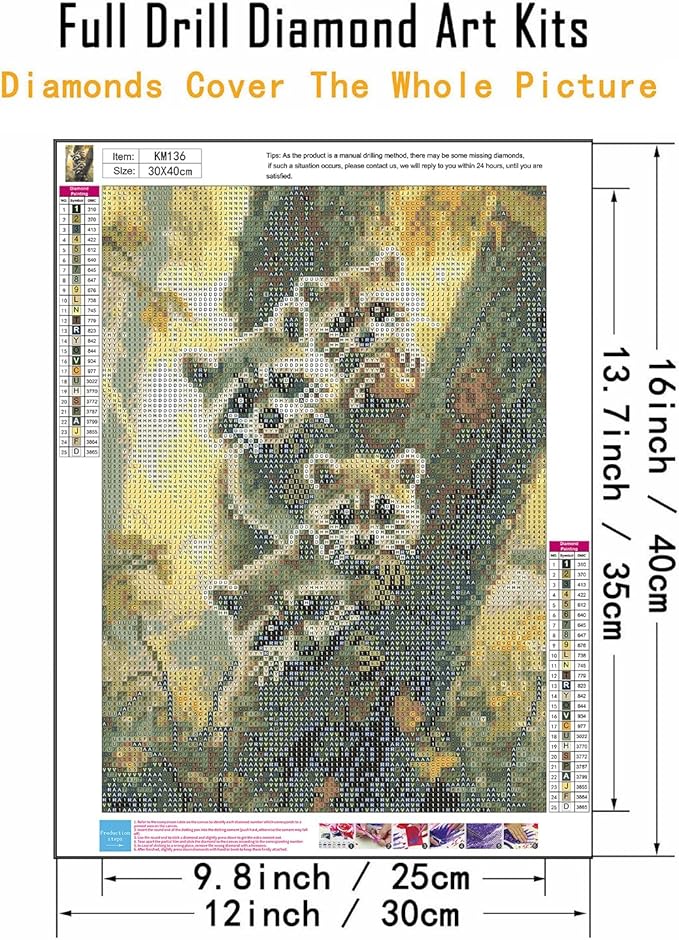 CHWGLFGG 5D Diamond Art Kits for Adults Beginners, Raccoon Diamond Painting Kits, DIY Full Round Drill Paint by Diamonds Dot Gem Art for Adults, Home Wall Decor 12x16 Inch