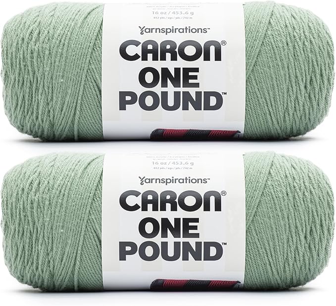 Caron One Pound Succulent Yarn - 2 Pack of 16oz/453.6g - Acrylic - #4 Worsted (Medium) - 812 Yards - Knitting & Crochet