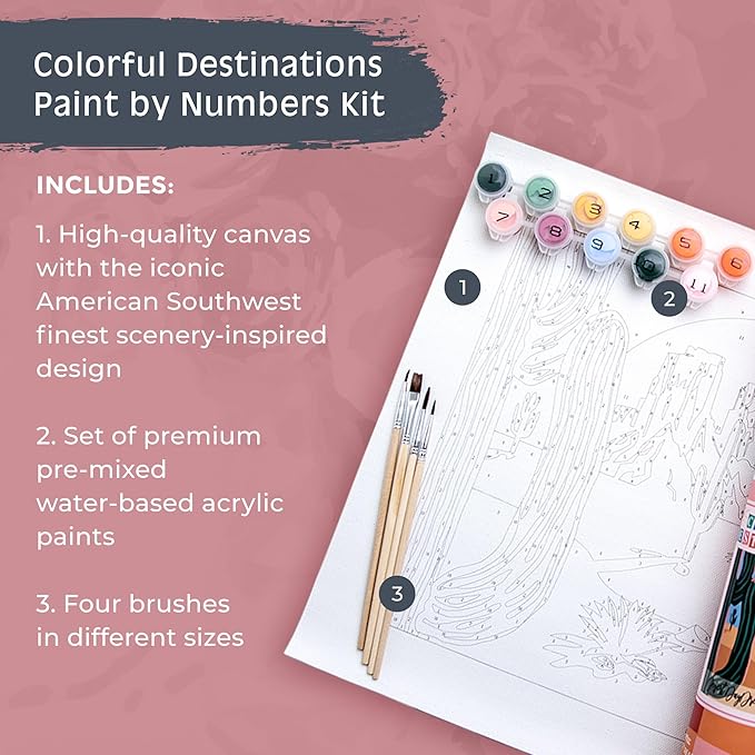 Pink Picasso Kits Colorful Destinations Paint by Number for Adults and Teens | DIY Unique Canvas Painting Kits Color by Numbers Arts & Crafts Kit | Desert Daydream 8x10- Paint Kit Set
