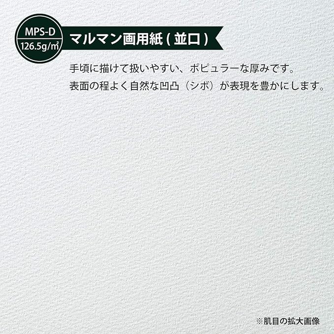 Maruman Sketchbook, A3 Design Series, Drawing Paper, Normal Door, 24 Sheets S115X40, 40 Sheets