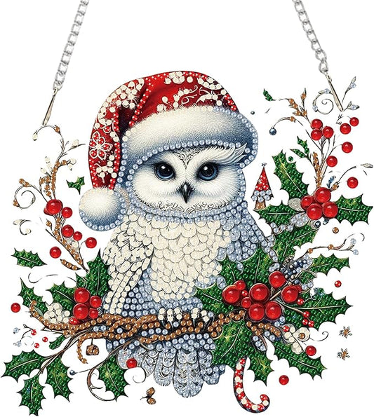 Auremi Christmas Diamond Art Painting Pendant Kits with Chain,5D Owl Diamond Art Hanging Kit DIY Diamond Crystal Window Door Hanging Pendant Kit for Adults Gift Wall Decor
