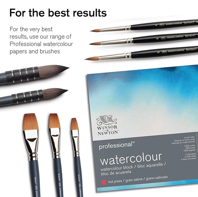 Winsor & Newton Professional Watercolor Paint Set, Black Box Set, 12 Half Pan
