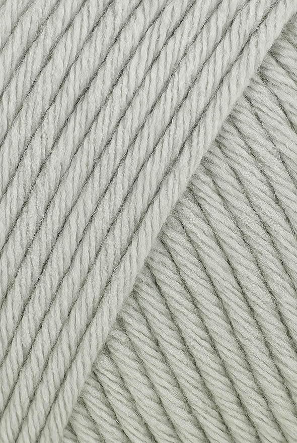 Big Twist Value Yarn 2-Pack Bundle-Soft Grey, 100% Acrylic, 6oz Skeins (380 yds Each)