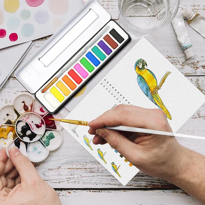 APOLYONE 2-Pack Beginner Watercolor Workbooks: 24 Coloring Pages + 12 Watercolor Paints + Brush – 300gsm/140lb Paper – Gift for Women, Adults & Beginners (Birds & Flower)