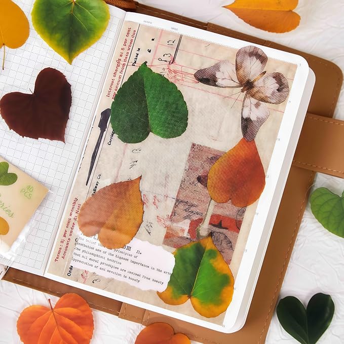 Doukado 240 Pieces Botanical Leaf-Themed Landscape PET Sticker, Waterproof Transparent Natural Leaf Stickers for Scrapbooking, Journaling, Creative Journal Supplies and DIY Crafts