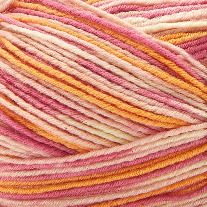Premier Yarns Fruits, Acrylic Sock Yarn, 2-Pack Bundled with Bella's Crafts Stitch Markers (Pink Grapefruit)
