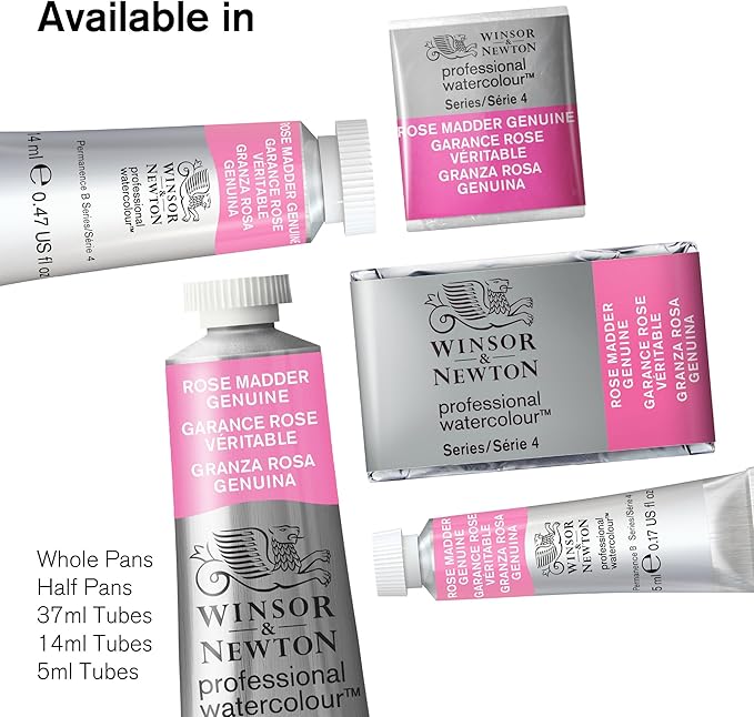 Winsor & Newton Professional Watercolor Paint Set, Black Box Set, 12 Half Pan