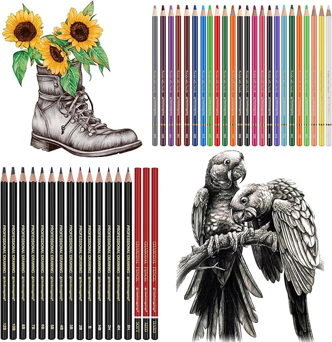 Sketch & Drawing Art Pencil Kit 52 Piece Set, 24 Color Pencil for Coloring Books, Pencil of Graphite & charcoal, 3-color Sketchbook, coloring book Etc, Art Supply Ideal for Adult Student Beginner Teen