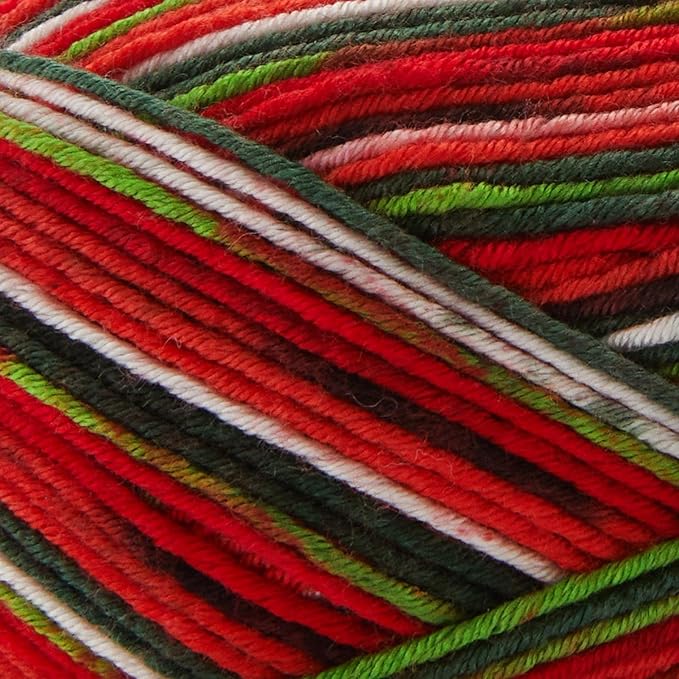 Premier Yarns Fruits, Acrylic Sock Yarn, 2-Pack Bundled with Bella's Crafts Stitch Markers (Watermelon)