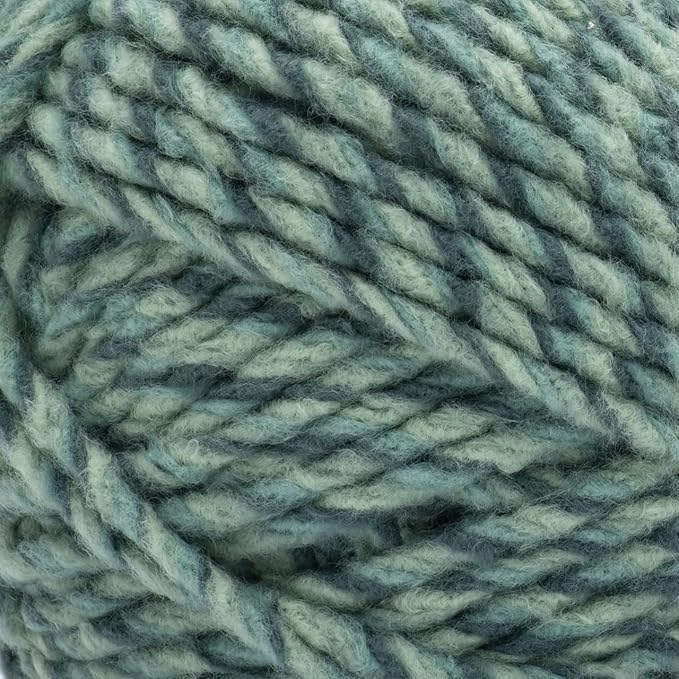 Bernat Forever Fleece Ficus Yarn - 2 Pack of 280g/9.9oz - Polyester - 6 Super Bulky - 194 Yards - Knitting/Crochet